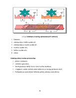 Diplomdarbs 'Stūres iekārtas piemērošana studiju vajadzībām', 30.
