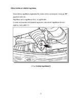 Diplomdarbs 'Stūres iekārtas piemērošana studiju vajadzībām', 31.