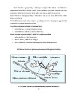 Diplomdarbs 'Stūres iekārtas piemērošana studiju vajadzībām', 33.