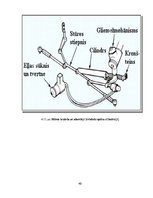 Diplomdarbs 'Stūres iekārtas piemērošana studiju vajadzībām', 40.