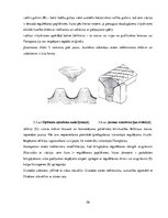 Diplomdarbs 'Stūres iekārtas piemērošana studiju vajadzībām', 56.