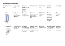 Konspekts 'Latvijā sastopamie bezmugurkaulnieki', 1.
