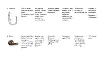 Konspekts 'Latvijā sastopamie bezmugurkaulnieki', 3.