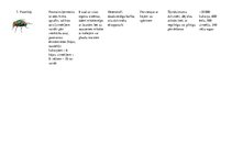 Konspekts 'Latvijā sastopamie bezmugurkaulnieki', 4.