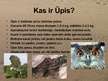 Prezentācija 'Ūpis', 2.