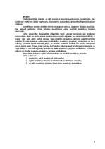 Referāts 'Investīciju projekta novērtēšana', 3.