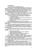 Referāts 'Investīciju projekta novērtēšana', 4.