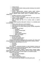 Referāts 'Investīciju projekta novērtēšana', 10.