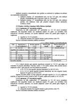 Referāts 'Investīciju projekta novērtēšana', 19.