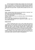 Referāts 'Kārļa Skalbes pasaku analīze', 4.