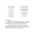 Konspekts 'Helikopters MBB BO-105', 17.