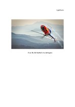 Konspekts 'Helikopters MBB BO-105', 38.