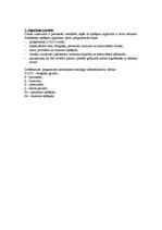 Paraugs 'Risinājumu algoritmizācija un programmēšana', 3.