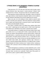 Prakses atskaite 'SIA "Kamene", prakses atskaite tirgzinībās', 7.