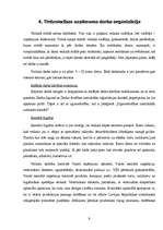 Prakses atskaite 'SIA "Kamene", prakses atskaite tirgzinībās', 9.