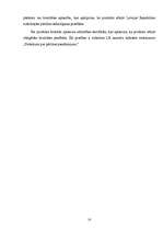 Prakses atskaite 'SIA "Kamene", prakses atskaite tirgzinībās', 10.