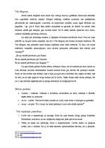 Referāts 'Reliģija bez Dieva - budisms', 20.