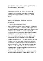 Konspekts 'Muskuļu fizioloģija', 3.