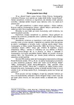 Eseja 'Pirmā pasaules kara cēloņi', 1.