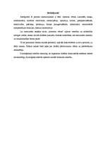 Konspekts 'Pubertātes vecums', 4.