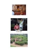 Referāts 'Šrilanka', 7.