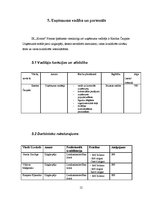 Biznesa plāns 'Biznesa plāns', 12.