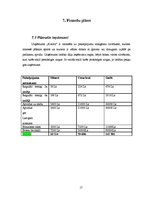 Biznesa plāns 'Biznesa plāns', 17.