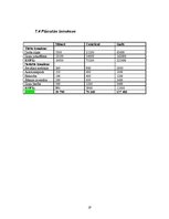 Biznesa plāns 'Biznesa plāns', 19.