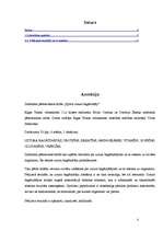 Referāts 'Sporta uztura bagātinātāji', 2.