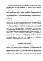 Referāts 'Sporta uztura bagātinātāji', 20.