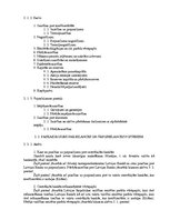 Referāts 'Komercbanku bilances posteņi, to stāvoklis Latvijā pēc 1995.gada finanšu krīzes', 13.