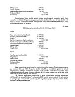 Referāts 'Komercbanku bilances posteņi, to stāvoklis Latvijā pēc 1995.gada finanšu krīzes', 25.