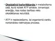 Prezentācija 'Oksidatīvā fosforilēšanās', 2.