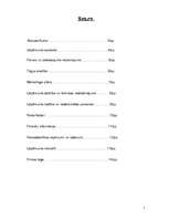 Biznesa plāns 'Zemnieku saimniecība "Rozes"', 2.