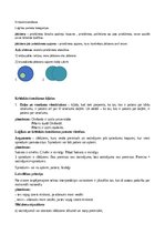 Konspekts 'Kritiskā domāšana', 1.