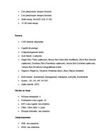 Referāts 'Produkta apraksts', 4.