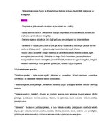 Referāts 'Produkta apraksts', 6.