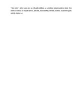 Referāts 'Produkta apraksts', 7.