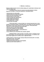 Referāts 'Reklāma', 5.