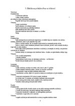 Referāts 'Reklāma', 6.