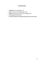 Referāts 'Laikmeta ietekme uz indivīda personības veidošanos', 13.