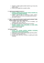 Paraugs 'Pirmais pārbaudījums projektu vadībā', 2.