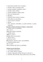 Referāts 'Uzņēmuma uzbūve un vadība', 7.