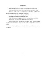 Referāts 'Sociālās uzņēmējdarbības izaicinājumi Latvijā', 3.