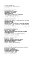 Konspekts 'Termelementi latīņu valodā', 8.