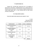 Referāts 'Pārraides sistēmas - CPS projektēšana vietējos tīklos', 38.