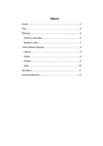 Referāts 'Varas neētisks lietojums', 2.