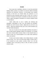 Referāts 'Varas neētisks lietojums', 3.