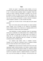 Referāts 'Varas neētisks lietojums', 4.