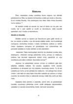 Referāts 'Varas neētisks lietojums', 6.